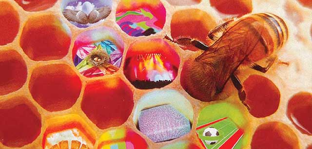 International Events Group brochure detail